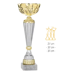 Coupe Promo 2020-8