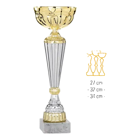 Coupe Promo 2020-8