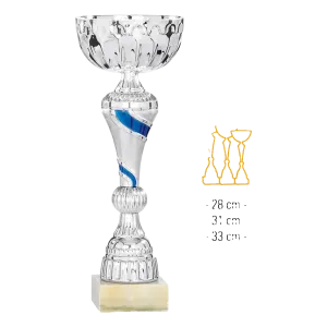 Coupe Promo 2020-8