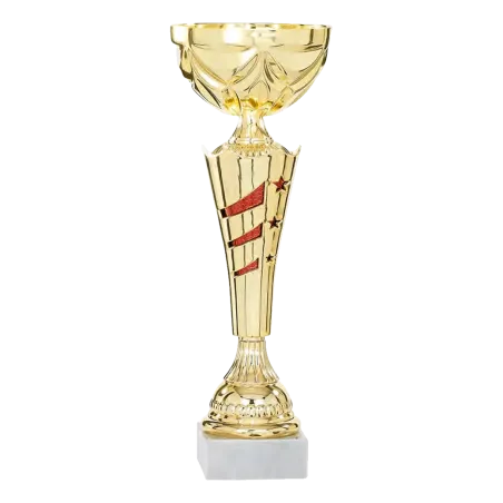 Coupe Promo 2020-8