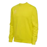 Jaune flamboyant