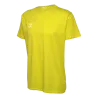 Jaune flamboyant
