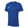 Bleu roy