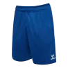 Bleu roy