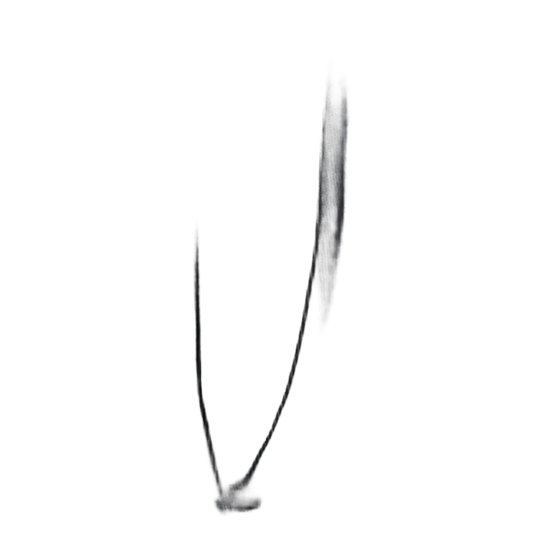 Pantalon Harp