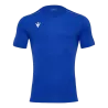 Bleu roy