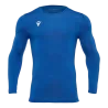 Bleu roy