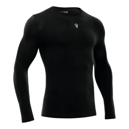 Baselayer Turtle Performance ML