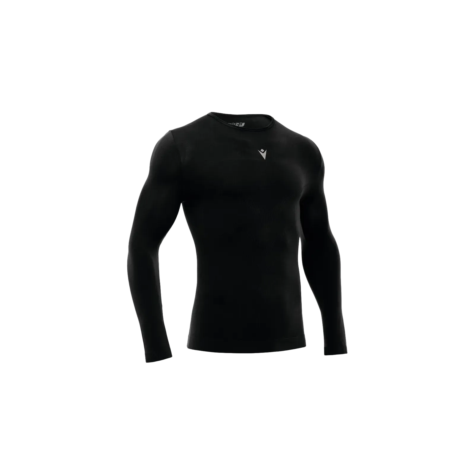 Baselayer Turtle Performance ML