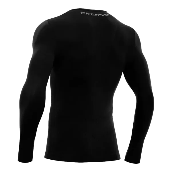 Baselayer Turtle Performance ML