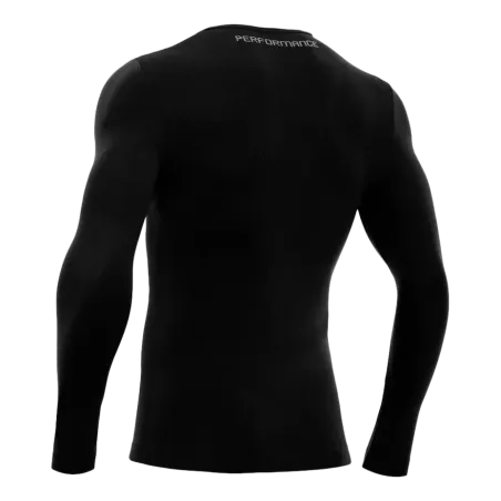 Baselayer Turtle Performance ML