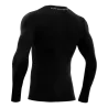 Baselayer Turtle Performance ML