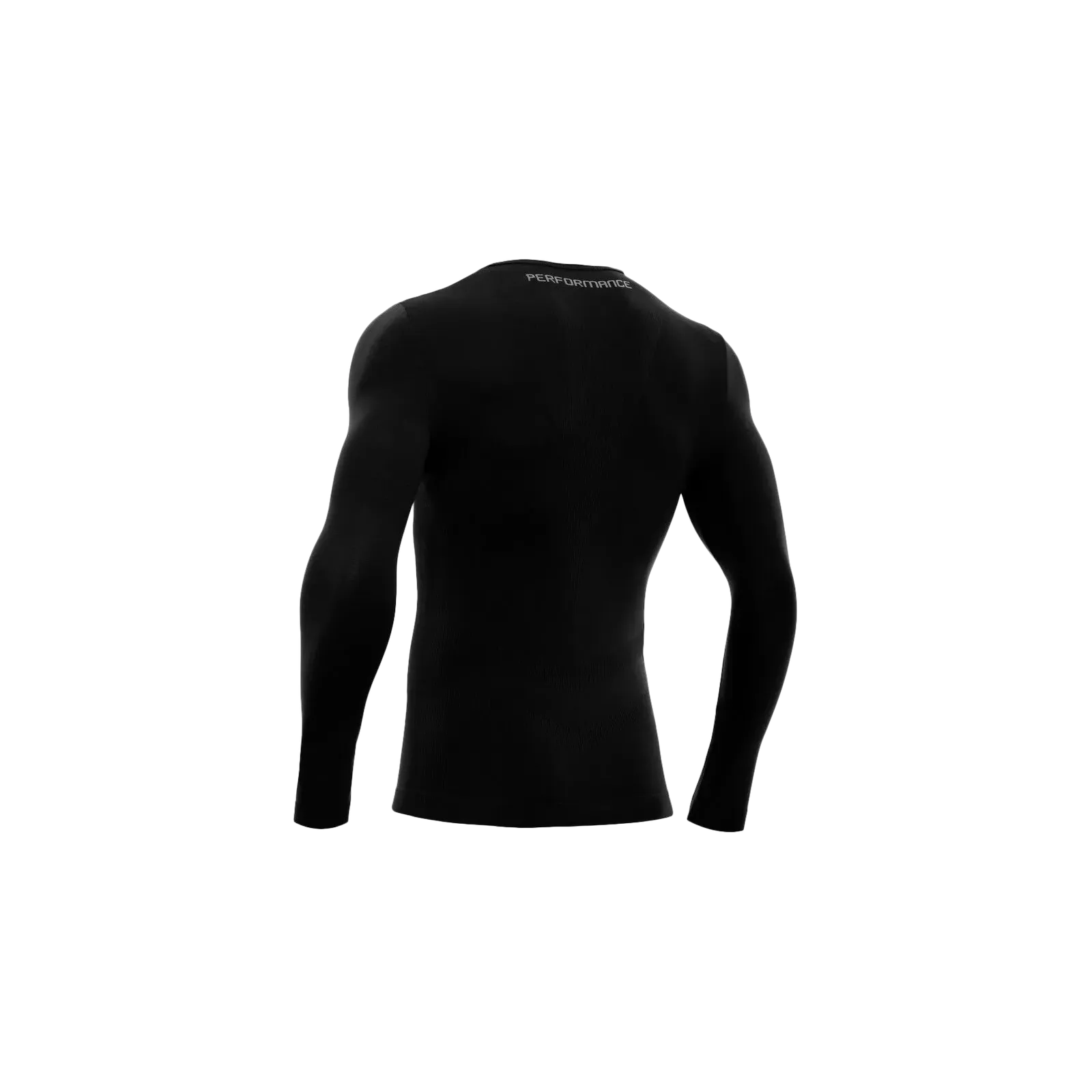 Baselayer Turtle Performance ML