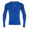 Bleu roy