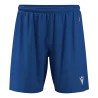 Bleu roy