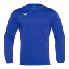 Bleu roy