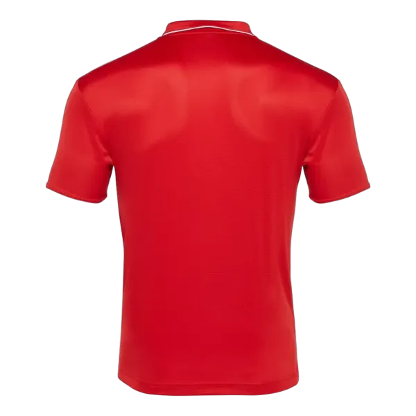 Polo Draco Hero