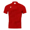 Polo Thavil