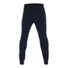 Pantalon Accordion