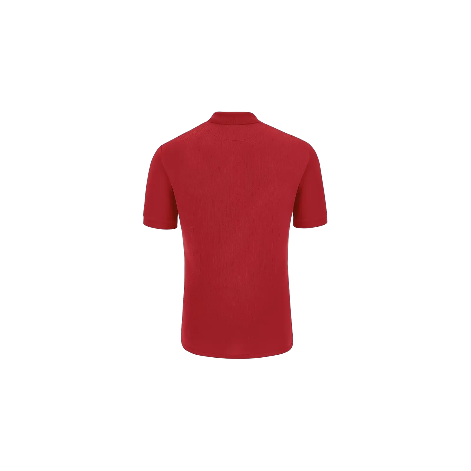 Polo Rap