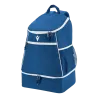 Bleu roy