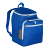 Bleu roy