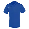 Bleu roy