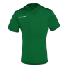 Vert bouteille