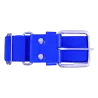 Bleu roy