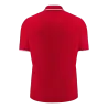 Polo Aulos