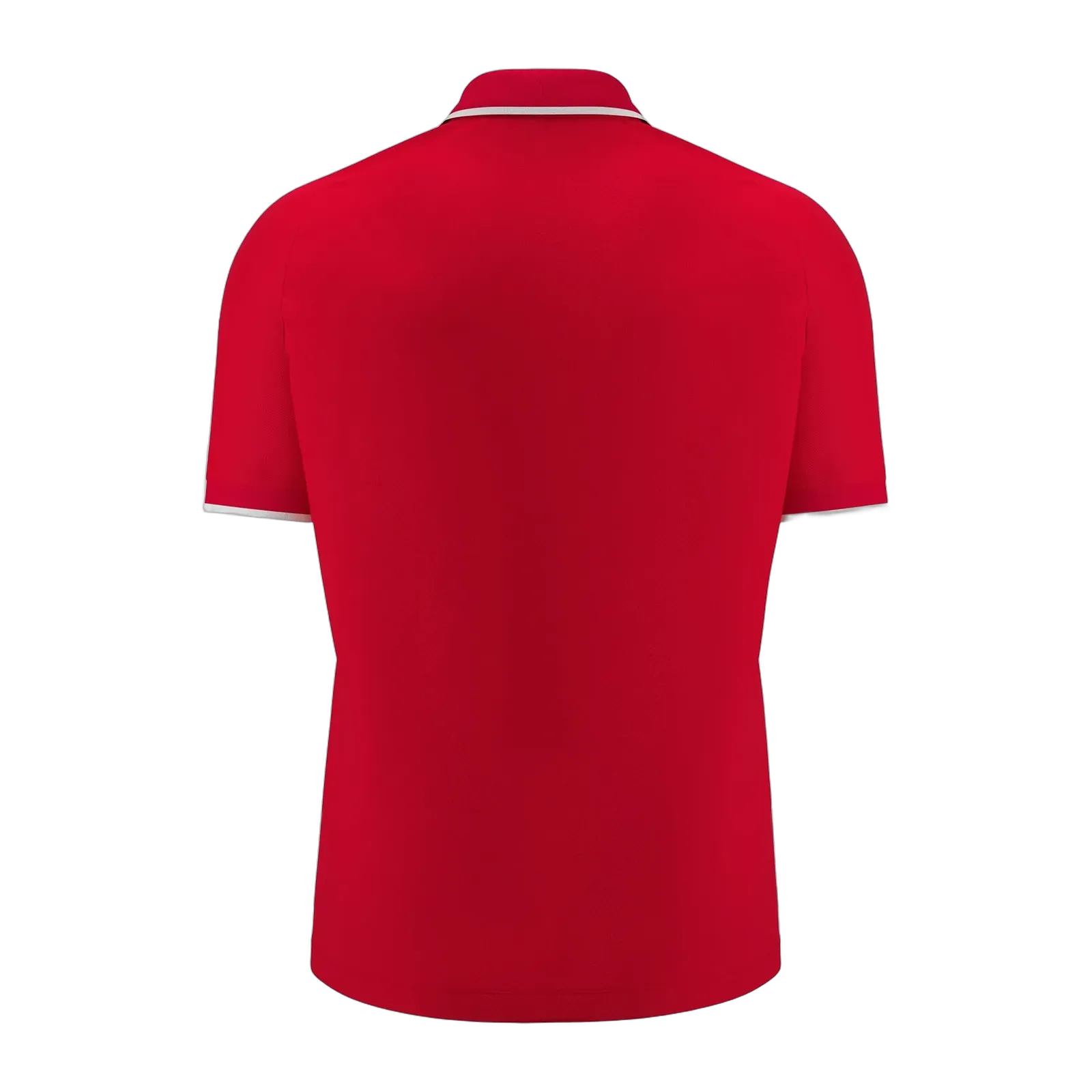 Polo Aulos