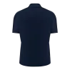 Polo Aulos