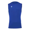 Bleu roy
