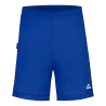 Bleu roy