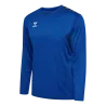 Bleu roy