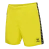 Jaune flamboyant