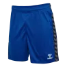 Bleu roy