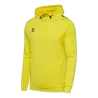 Jaune flamboyant