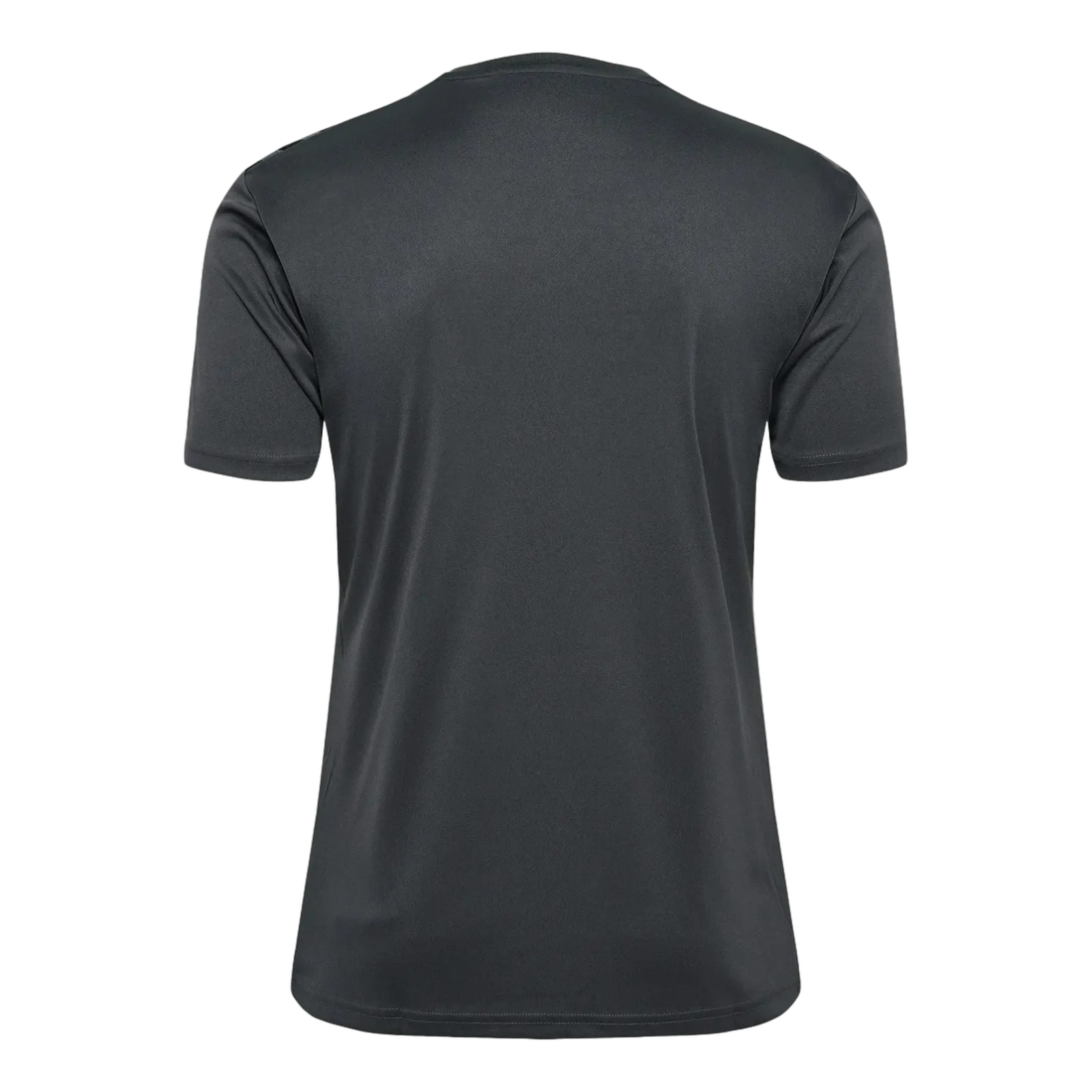 Maillot HmlAuthentic PL Jersey