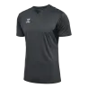 Maillot HmlAuthentic PL Jersey