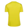 Maillot HmlAuthentic PL Jersey