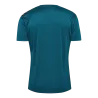 Maillot HmlAuthentic PL Jersey
