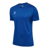 Maillot HmlAuthentic PL Jersey