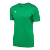 Maillot HmlAuthentic PL Jersey