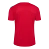 Maillot HmlAuthentic PL Jersey