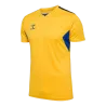Maillot HmlAuthentic PL Jersey