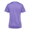 Violet dahlia/Asphalt