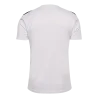 Maillot HmlAuthentic PL Jersey