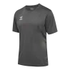 Gris acier