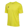 Jaune flamboyant